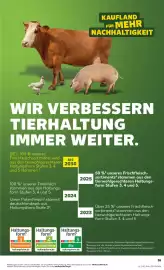 Kaufland Prospekt woche 10 Seite 55