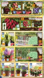 CENTERSHOP Prospekt woche 10 Seite 2