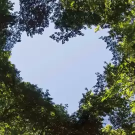 Pro-Duo folder week 10 Pagina 15