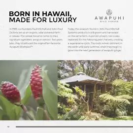 Pro-Duo folder week 10 Pagina 10