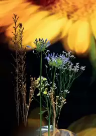 Pro-Duo folder week 10 Pagina 15