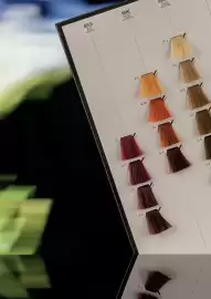 Pro-Duo folder week 10 Pagina 27