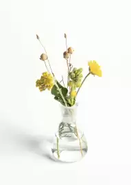 Pro-Duo folder week 10 Pagina 9