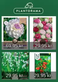 Plantorama tilbudsavis Side 3