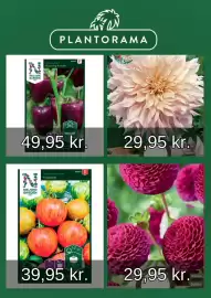Plantorama tilbudsavis Side 4