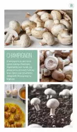 REMA 1000 tilbudsavis Side 6