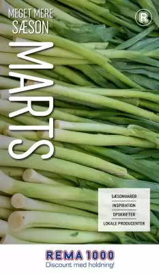 REMA 1000 tilbudsavis (gælder indtil 1-04)