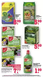 Scheck-in-Center Prospekt woche 10 Seite 47