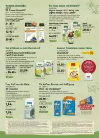 Vitalia Prospekt Seite 5