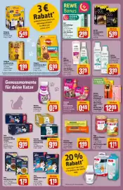 REWE Center Prospekt woche 10 Seite 30