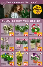 REWE Center Prospekt woche 10 Seite 6