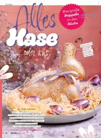 Norma Magazin Seite 28