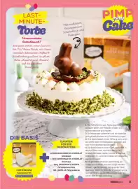 Norma Magazin Seite 33