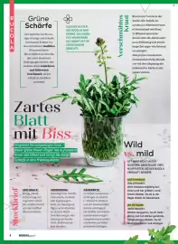 Norma Magazin Seite 4