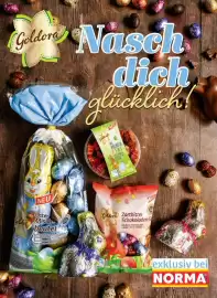 Norma Magazin Seite 40