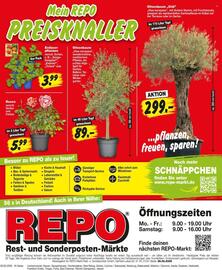 Repo Markt Prospekt woche 10 Seite 16