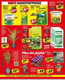 Repo Markt Prospekt woche 10 Seite 2