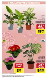 Carrefour Market gazetka tydzień 10 Strona 3