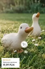 Sinsay gazetka Strona 29