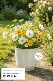 Sinsay gazetka Strona 5