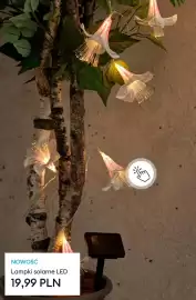 Sinsay gazetka Strona 6