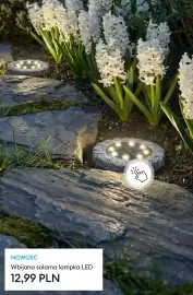 Sinsay gazetka Strona 8