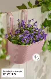 Sinsay gazetka Strona 9