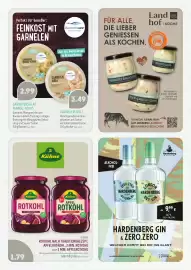 Edeka Struve Prospekt Seite 16
