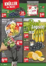 EDEKA Vogl Prospekt woche 10 Seite 8