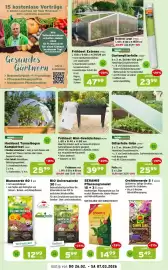 Salzburger Lagerhaus Flugblatt Seite 2