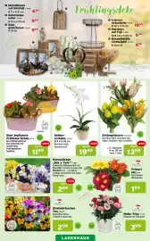 Salzburger Lagerhaus Flugblatt Seite 3