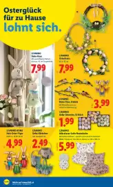 Lidl Flugblatt Seite 22