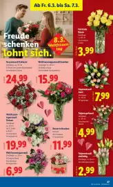 Lidl Flugblatt Seite 31
