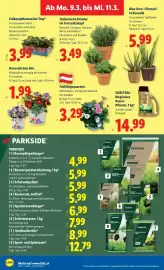 Lidl Flugblatt Seite 35