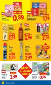Lidl Flugblatt Seite 45