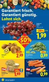 Lidl Flugblatt Seite 47