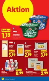 Lidl Flugblatt Seite 49