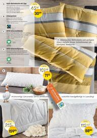 Reiter Flugblatt Seite 2