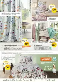 Reiter Flugblatt Seite 1