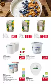 Transgourmet Flugblatt Seite 8