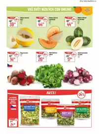 Globus leták týden 10 Strana 13