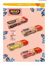 Globus leták týden 10 Strana 21