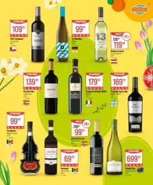 Globus leták Strana 27