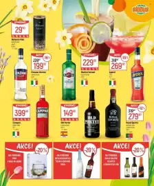 Globus leták Strana 31