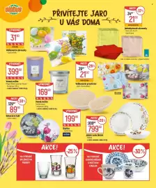 Globus leták Strana 8