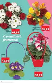 Catalog Kaufland săptămâna 10 Pagină 4