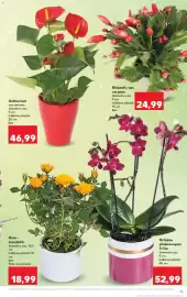 Catalog Kaufland săptămâna 10 Pagină 13