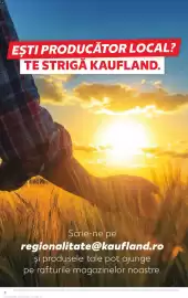 Catalog Kaufland săptămâna 10 Pagină 8