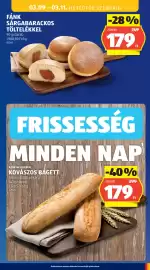 ALDI akciós újság Oldal 65