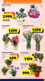 ALDI akciós újság Oldal 11